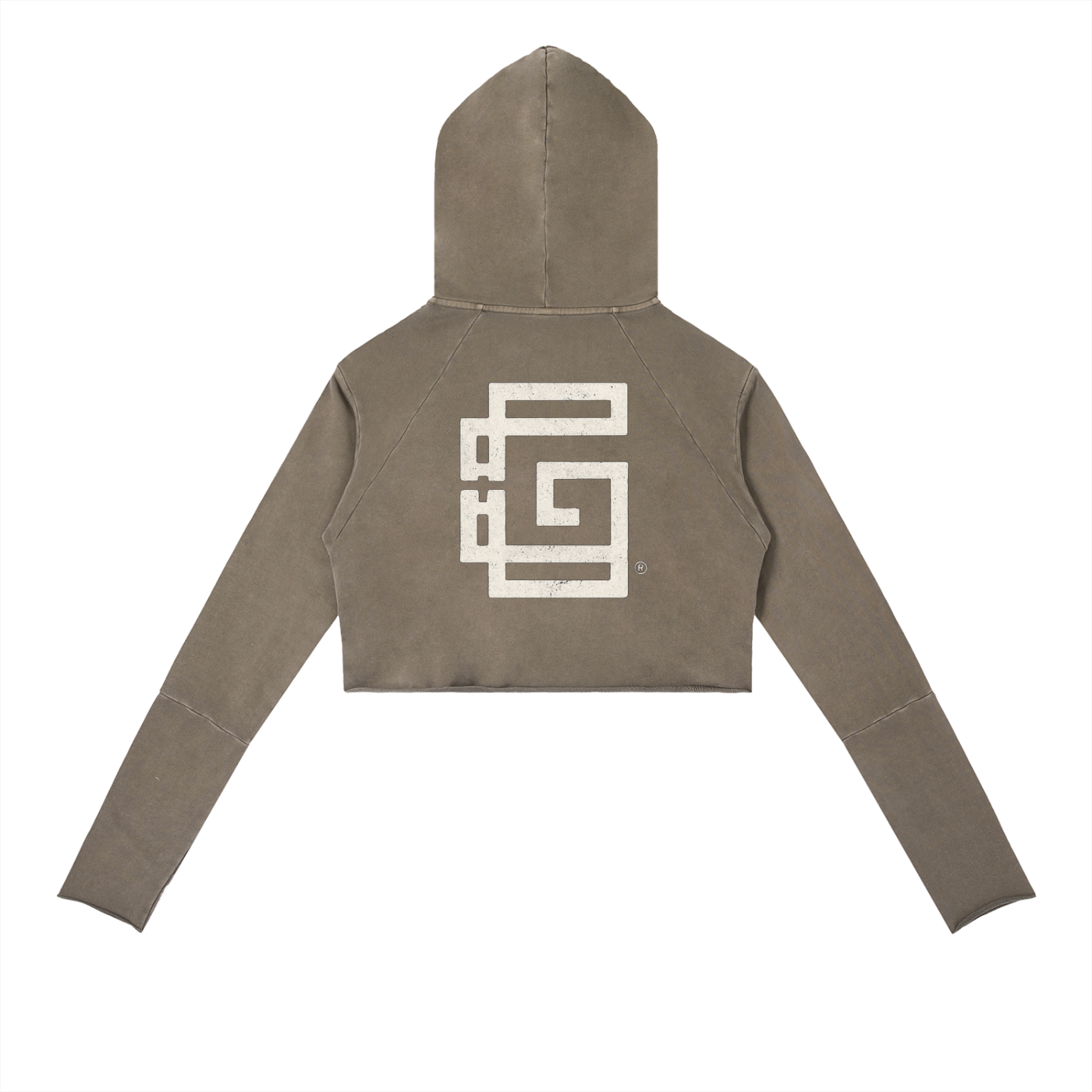 Vintage Washed Raw Edge Hoodie — High Road Glitch Identity Edition