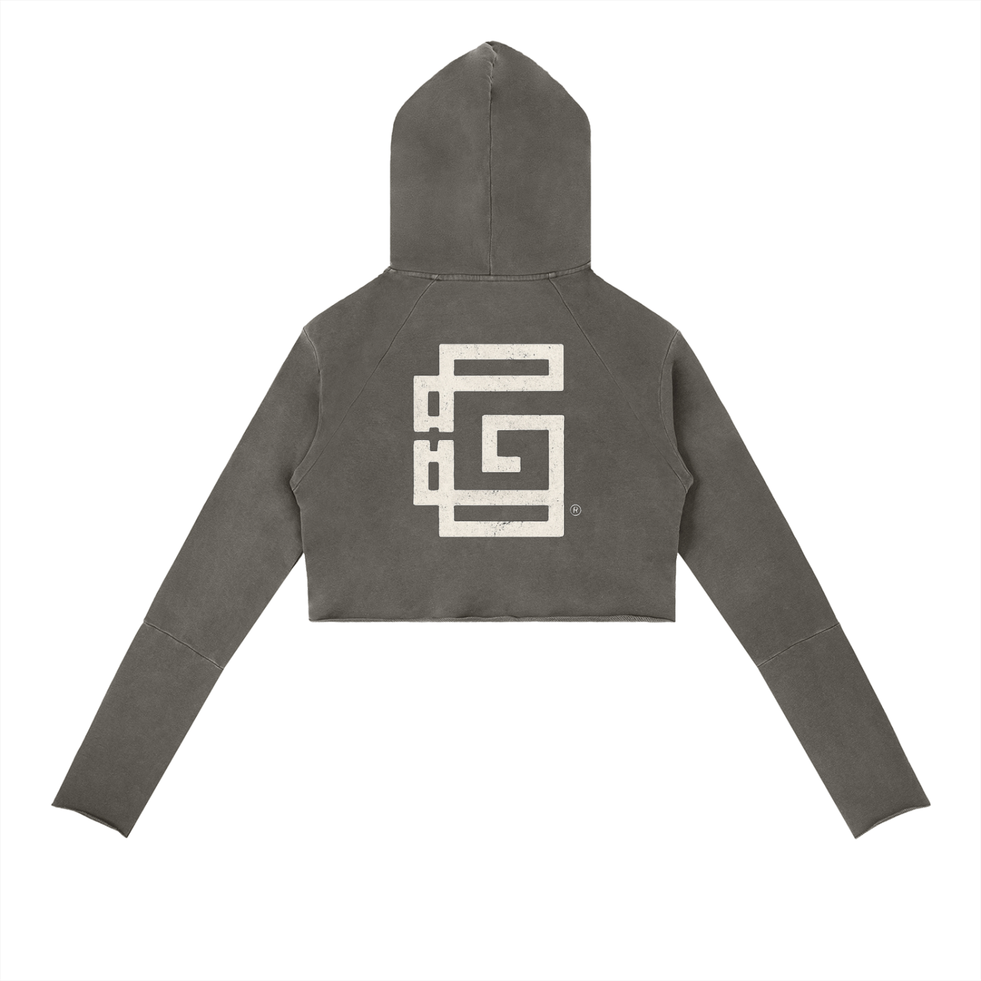 Vintage Washed Raw Edge Hoodie — High Road Glitch Identity Edition