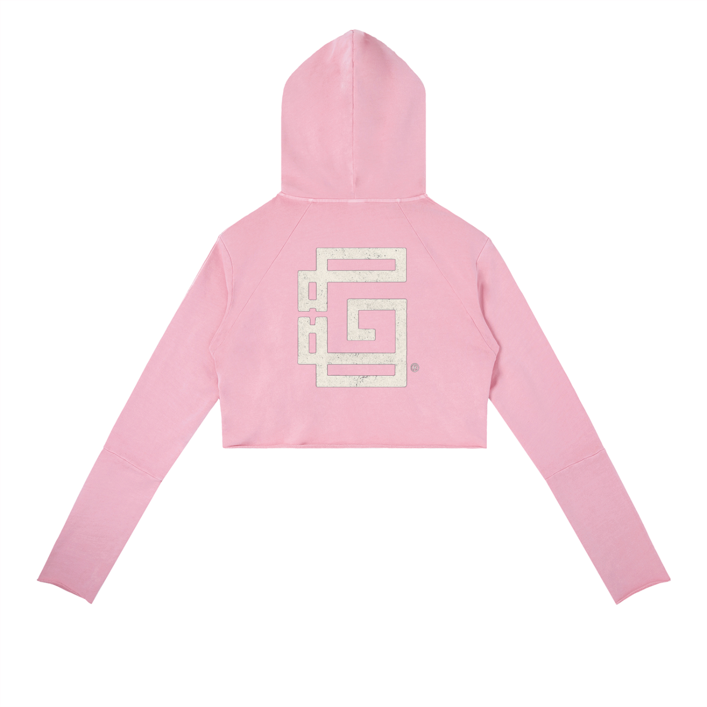 Vintage Washed Raw Edge Hoodie — High Road Glitch Identity Edition