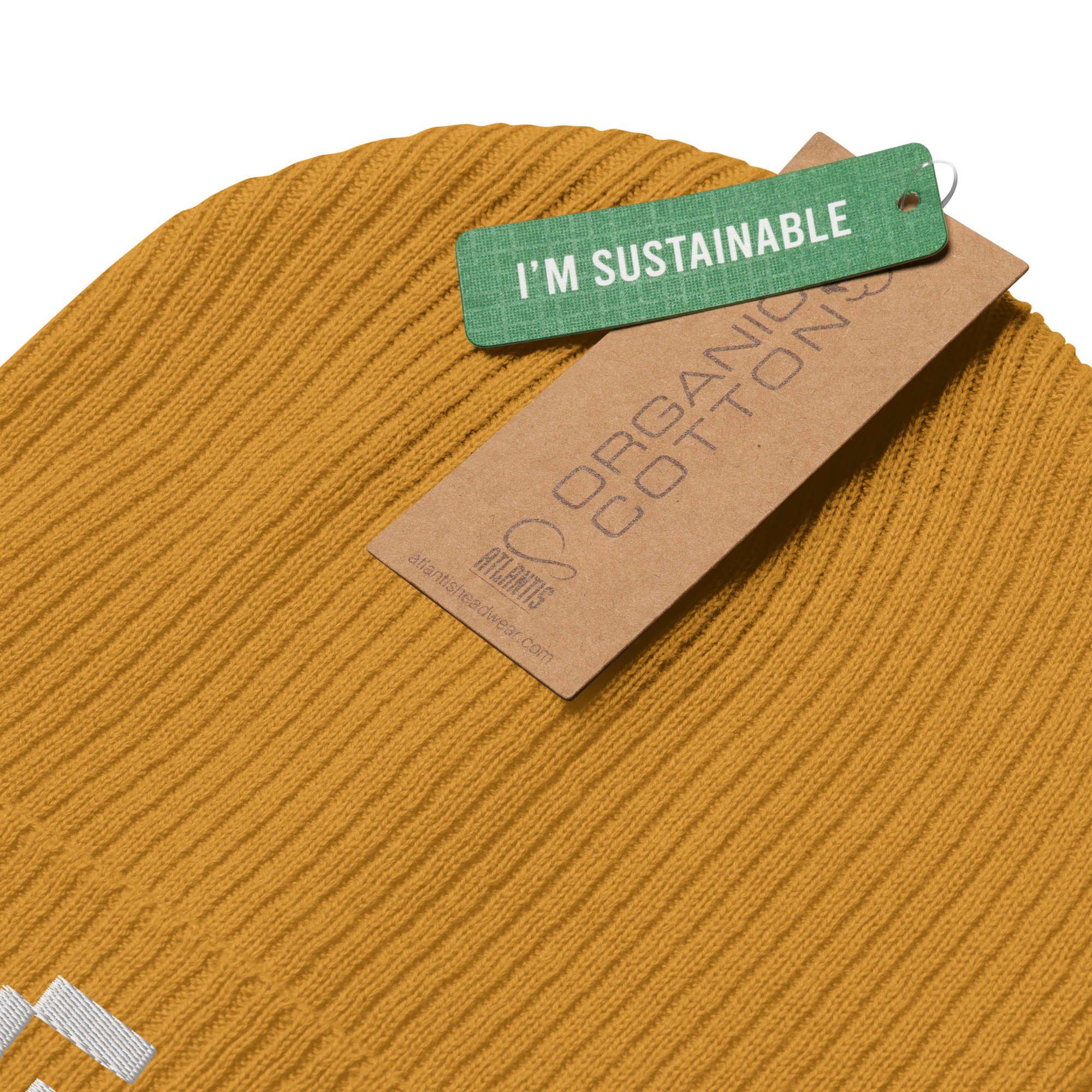 Organic Ribbed Beanie — +G Identity Edition